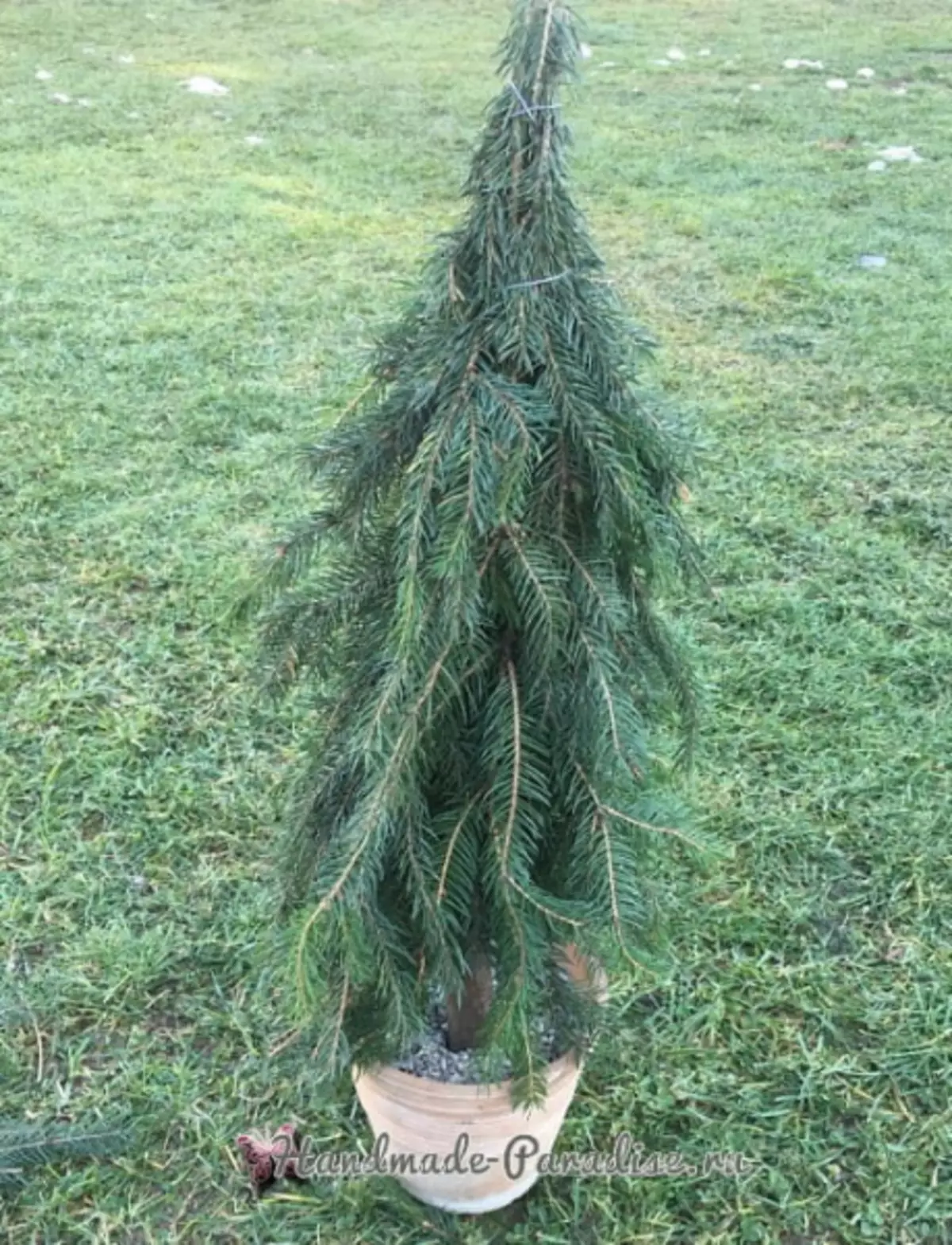 درخت کریسمس با دستان خود را از شاخه های مخروطی