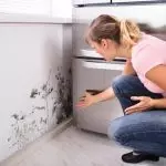 Hvordan bli kvitt fuktighet i leiligheten?