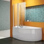 शटर किंवा ग्लास विभाजन: बाथरूमसाठी काय निवडावे?