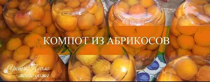 Compote ពី apricots សម្រាប់រដូវរងារជាមួយឆ្អឹង: រូបមន្តសាមញ្ញមួយដោយគ្មានការក្រៀវ