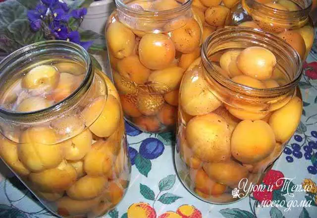 Kompot dari aprikot untuk musim dingin dengan tulang: resep sederhana tanpa sterilisasi