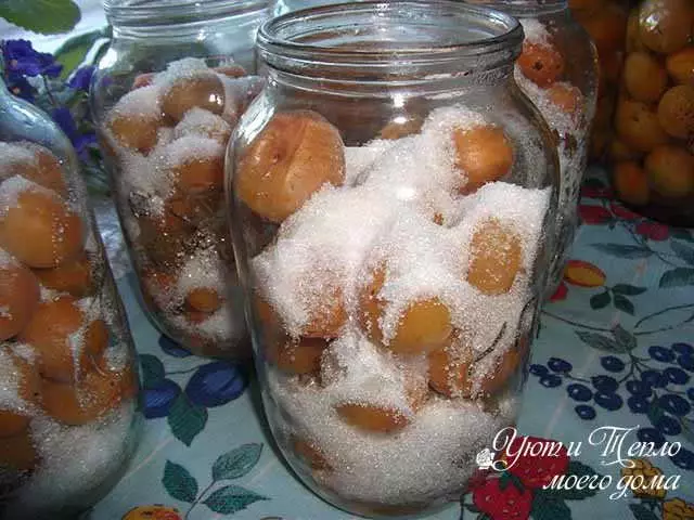 ဆောင်းတွင်းမှအရိုးများနှင့်အတူ apricots များမှ compote: ပိုးသတ်ခြင်းမရှိဘဲရိုးရှင်းသောစာရွက်
