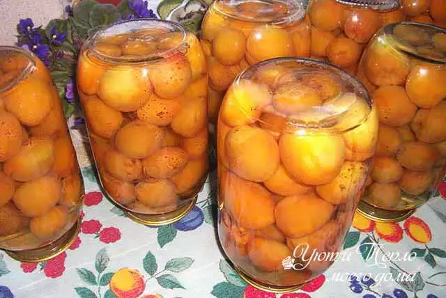 श्वासोच्छवासासाठी हिवाळ्यासाठी appricots पासून कंपाईल: निर्जंतुकीकरण न साधा रेसिपी