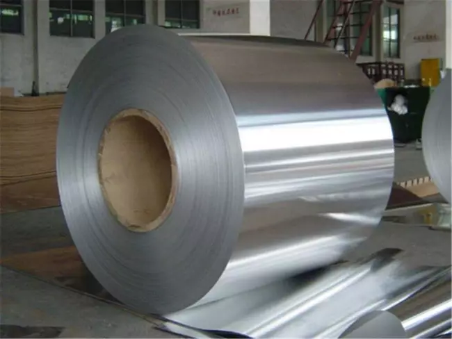 Portes en aluminium: Caractéristiques de la construction et types