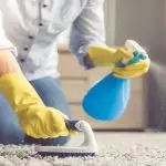 5 Lifehas برای مراقبت از فرش که دقیقا کار می کند
