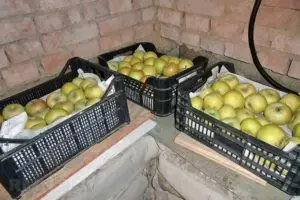 Зберігання яблук на балконі і лоджії