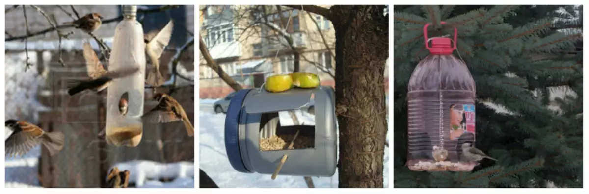 Alimentador para pájaros con sus propias manos.
