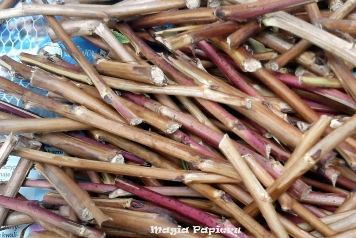 Weaving Grape Vine Baskets