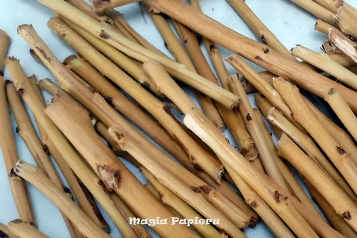 Weaving Grape Vine Baskets