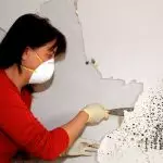 ¿Cómo eliminar el molde de la pared y evitar su re-apariencia?
