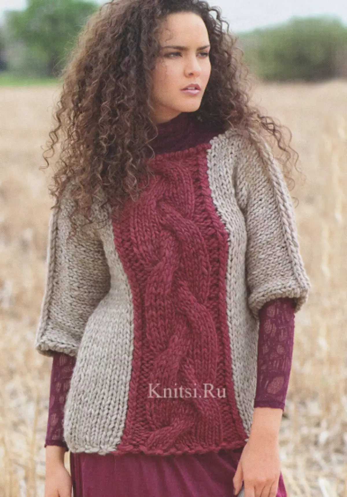 Moteris džemperis mezgimo su diagramų: kaip megzti su nuotraukomis ir vaizdo įrašais