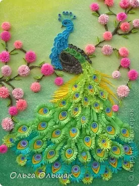 Quilling Peacock: majstorska klasa kruga ptica od Olga Olshak