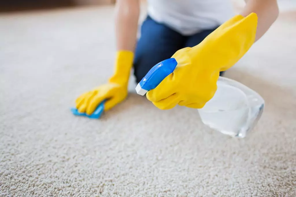Cómo eliminar los olores desagradables de la alfombra: diferentes tipos de contaminación y formas de eliminarlos