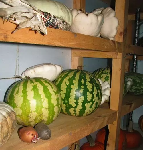 Nigute ushobora kuzigama watermelon kuri balkoni