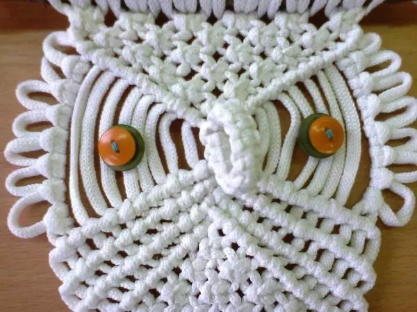 Gufo Macrame: classe master con foto e video passo-passo