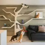 Hoe om die binneland te versier as 'n kat in die huis woon?