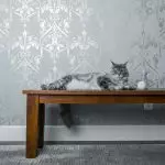 Si të dekoroni brendësinë nëse një mace jeton në shtëpi?