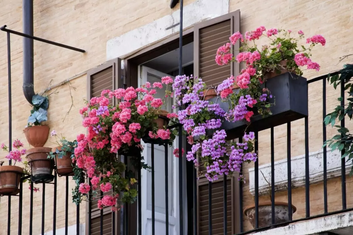 Odprti balkonski predpisi: izbor pohištva in dekor