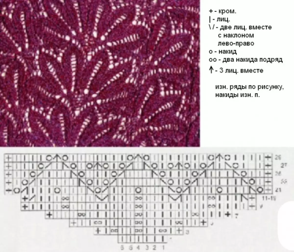Mở của kim đan: Sơ đồ và mô tả cho Palatine với hình ảnh và video