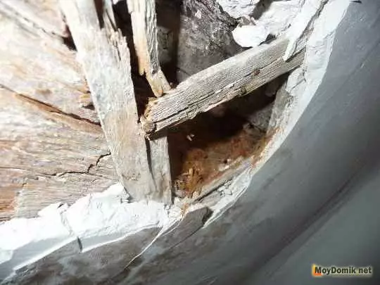 Como reparar a solapa do feixe de madeira por conta propia