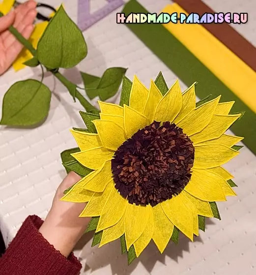 Ama-sunflower avela ephepheni. I-Master Class