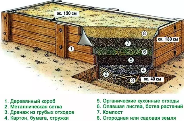 Hvordan lage senger under jordbær: Eksempler og tips om arrangement