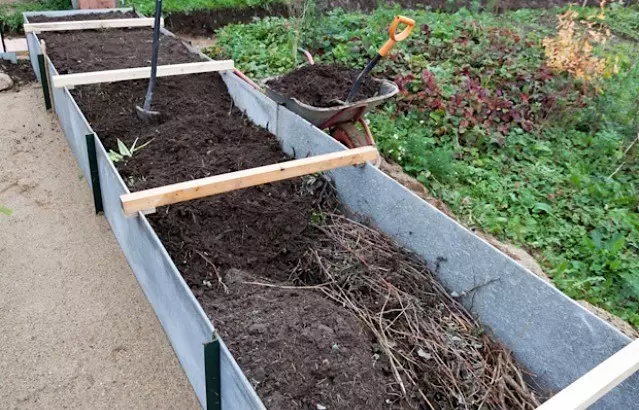 How to make beds under the strawberry: examples and tips on arrangement