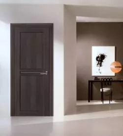 Oregano Door Color: Photo Combination In the Interior