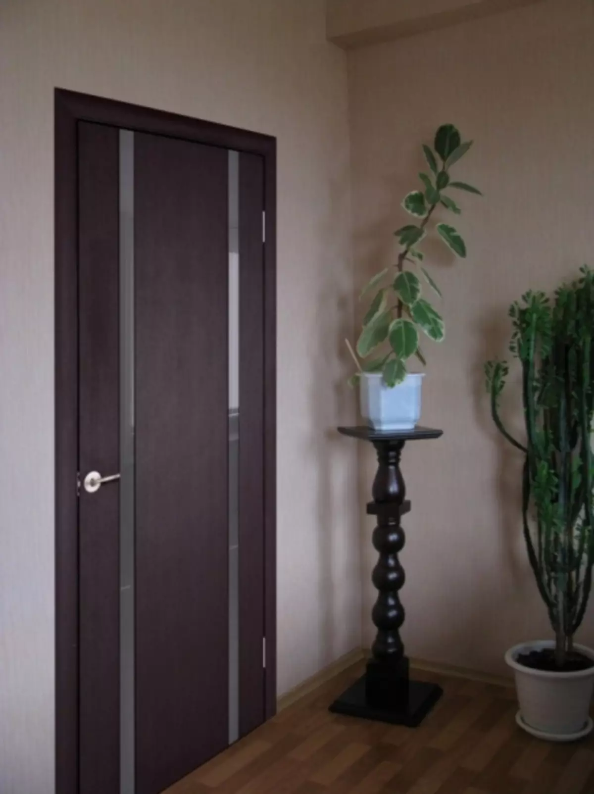 Цвят на вратата на риган: Комбинация от снимки в интериора