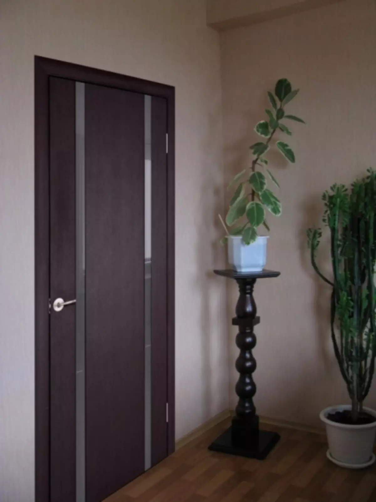 Oregano Door ფერი: ფოტო კომბინაცია ინტერიერში