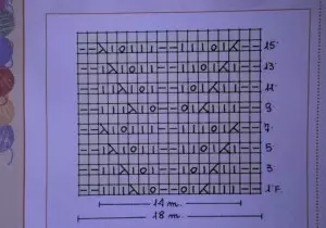 編み針付きの透かし彫りミトン：説明とマスタークラスの方式