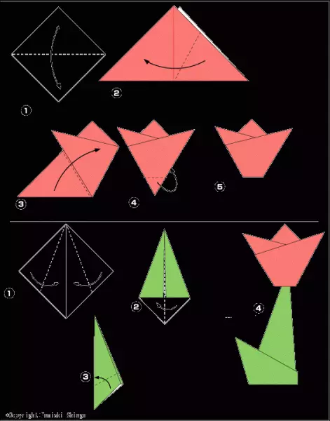 Flè Origami Papye: Schemes ak deskripsyon, fè Tulip papye, Lily ak flè blan san yo pa efò