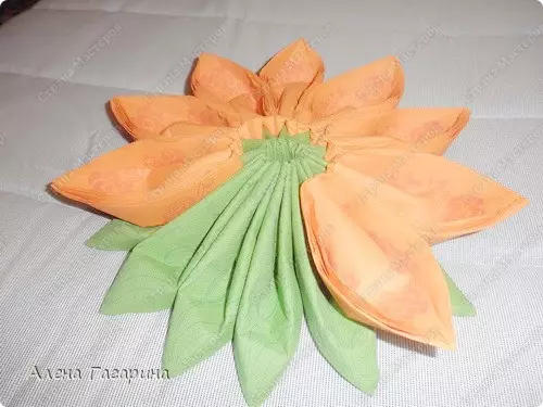 नैपकिन से फूल इसे स्वयं करते हैं: नैपकिन से मास्टर क्लास शिल्प, फोटो और वीडियो के साथ काम करने के लिए चरण-दर-चरण निर्देश