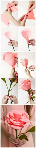 Paper flowers with their own hands: Master class of manufacture and scheme of bulk colors, learn to make video templates