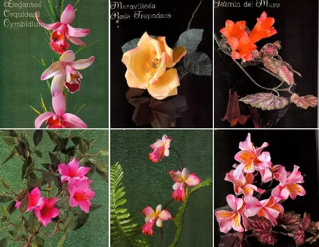 Blommor från foamiran. Instruktioner och mönster
