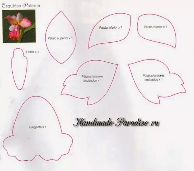 Hoa từ foamiran. Hướng dẫn và mô hình