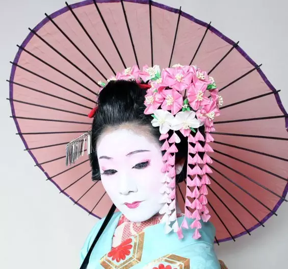 Kanzashi: Νέες ιδέες ζωγραφικής, Master Classes με φωτογραφίες και βίντεο