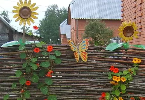Hvordan dekorere hegnet i landet? Dekoration, dekoration af hegn med dine egne hænder