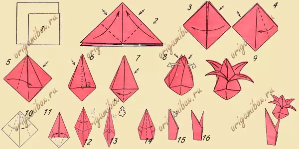 Ang papel sa Origami nga papel alang sa mga nagsugod: kung giunsa paghimo ang usa ka tulip ug liryo