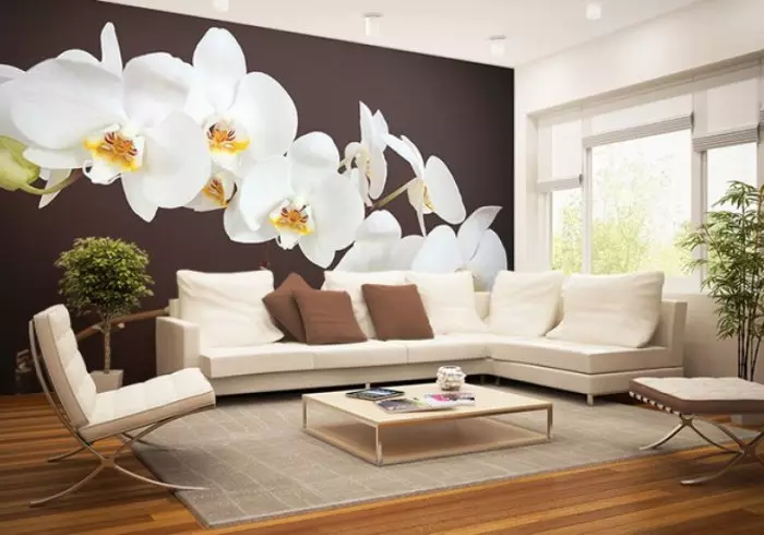 Tapeta pro stěny s orchidejí, použití v interiérových květinových tématech