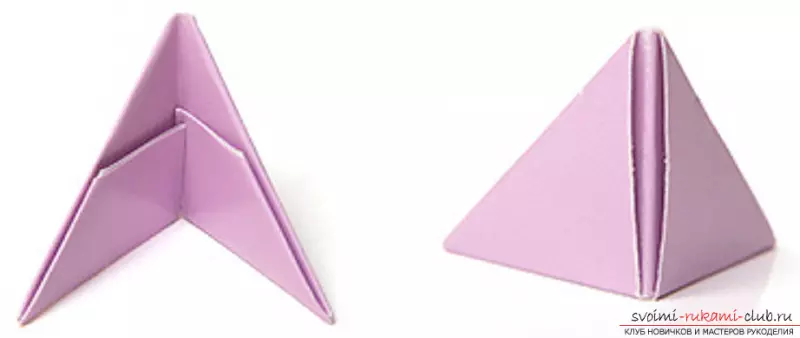Lebed Origami paperetik: nola egin urratsez urrats argazkiak eta bideoa