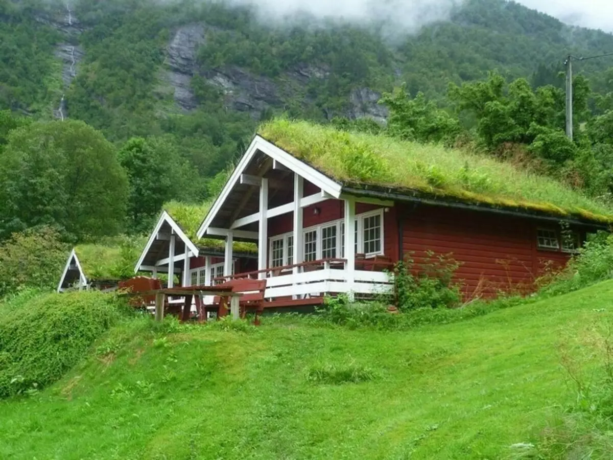 Εξωτερικό και εσωτερικό του σπιτιού σε σκανδιναβικό στυλ: ζεστά κίνητρα της βόρειας Ευρώπης (39 φωτογραφίες)