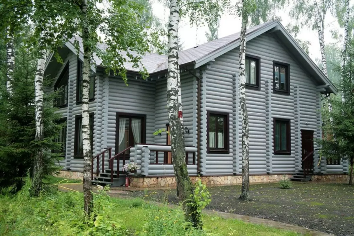 Vanjski i unutrašnjost kuće u skandinavskom stilu: Ugodni motivi sjeverne Europe (39 fotografija)
