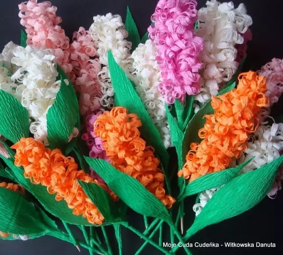 नालीदार कागज से hyacinths। परास्नातक कक्षा