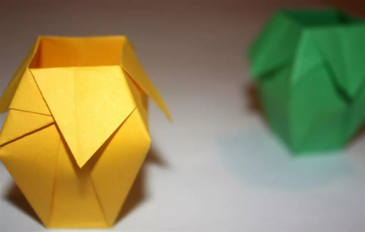 Origami Paper Vase: Master Class med video og foto