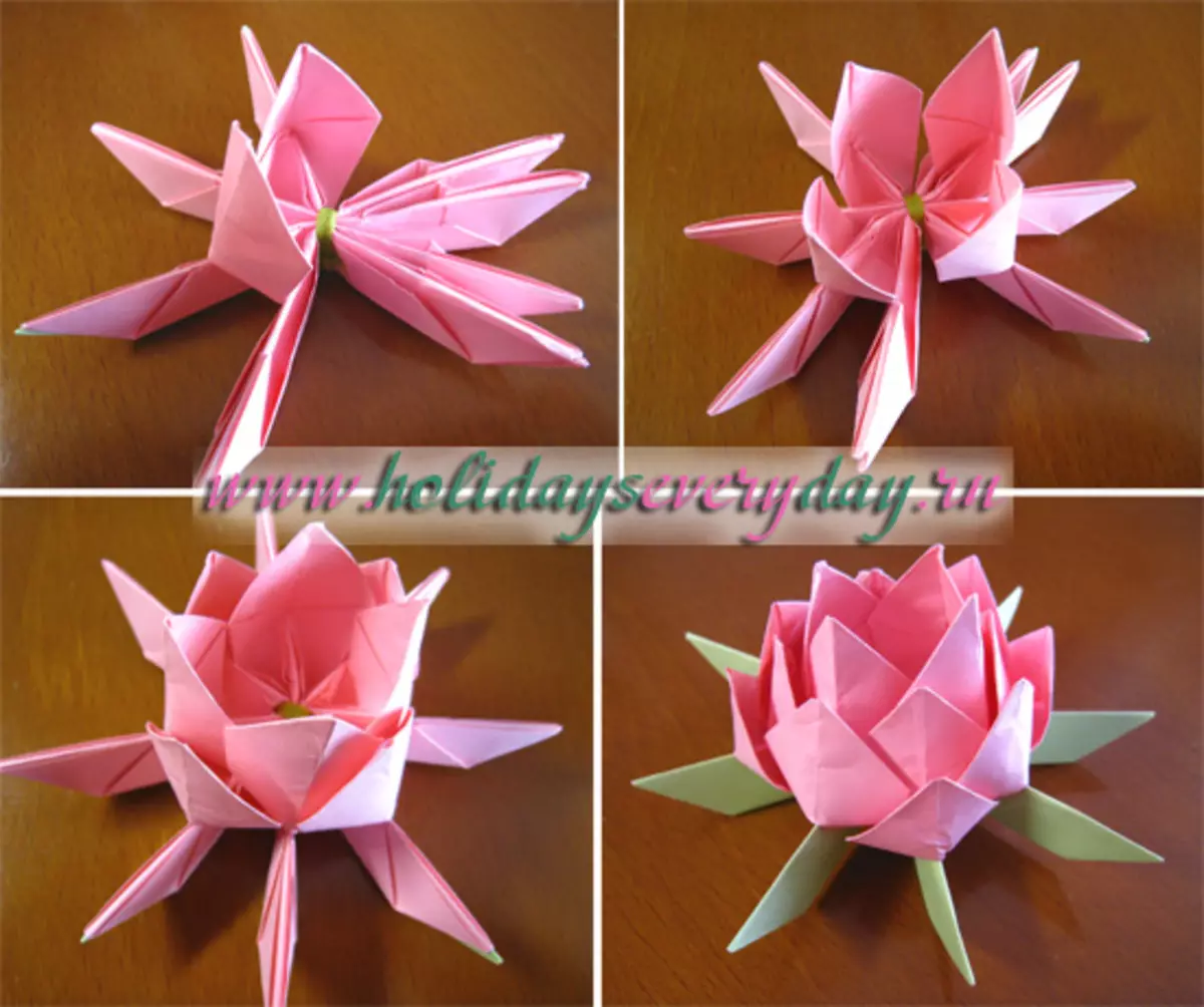 Origami Lotoos: វិធីធ្វើក្រដាសនិងពីម៉ូឌុលជាមួយរូបថតនិងវីដេអូ