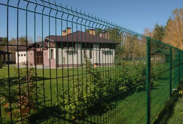 Fence erzan ji bo dayîna. Ji bo çêkirina darek erzan çi ye?