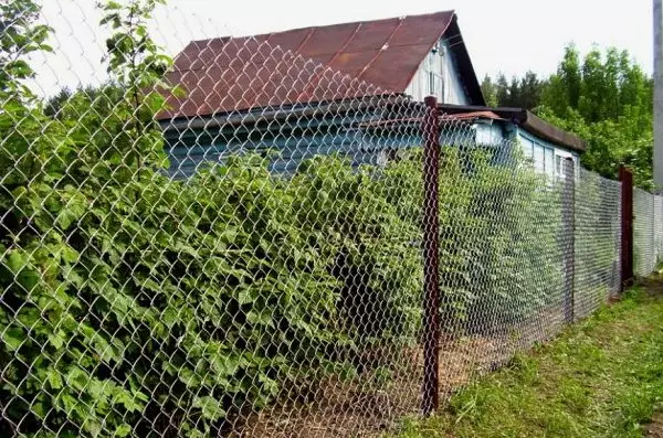 Jeftina ograda za davanje. Šta je jeftinije napraviti ogradu?