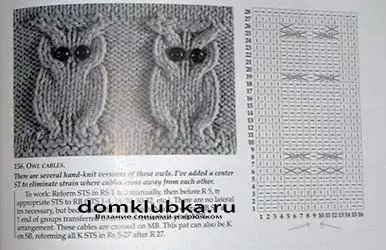Rukavice s owl Sprat: Detaljan opis s shemama i videozapisima