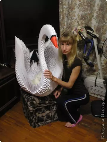 Amatniecība no origami moduļiem: Lieli dzīvnieki un gulbji ar MK un video